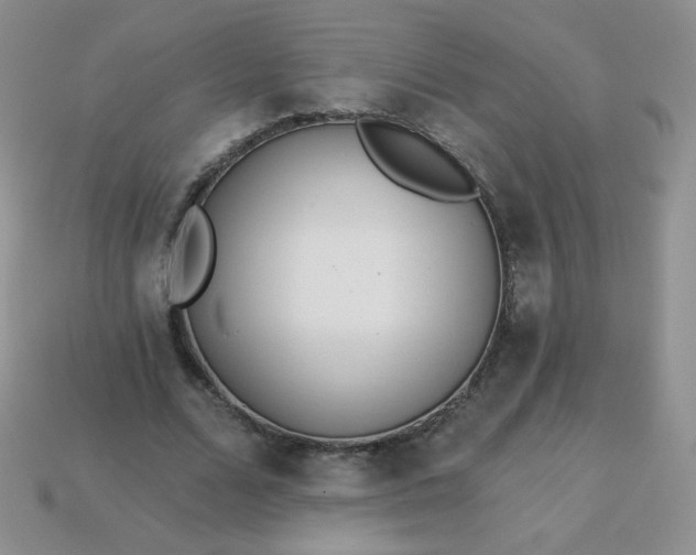 X0000114160680200910221609