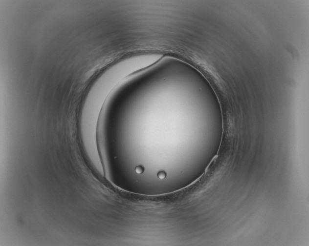 X0000114160681200910221609