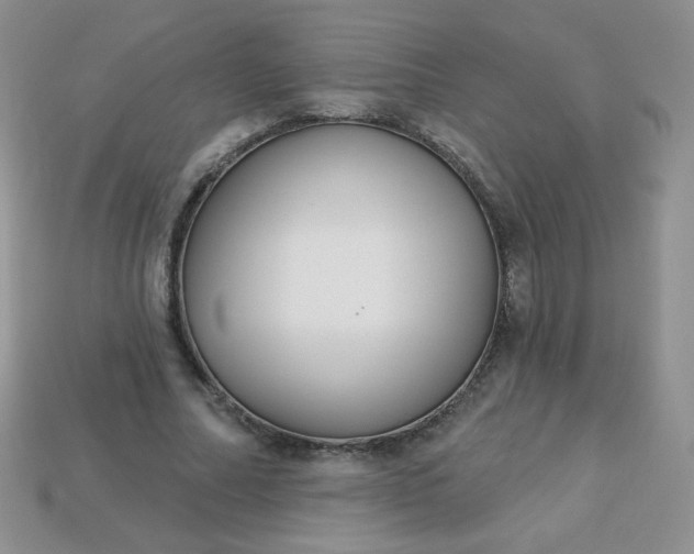 X0000114160682200910221609