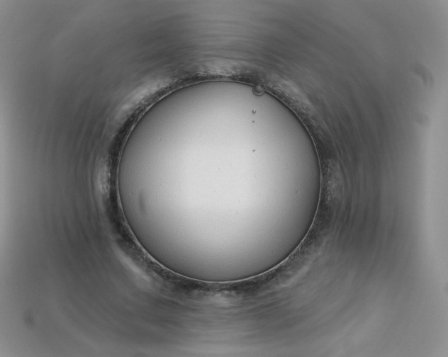 X0000114160683200910221609