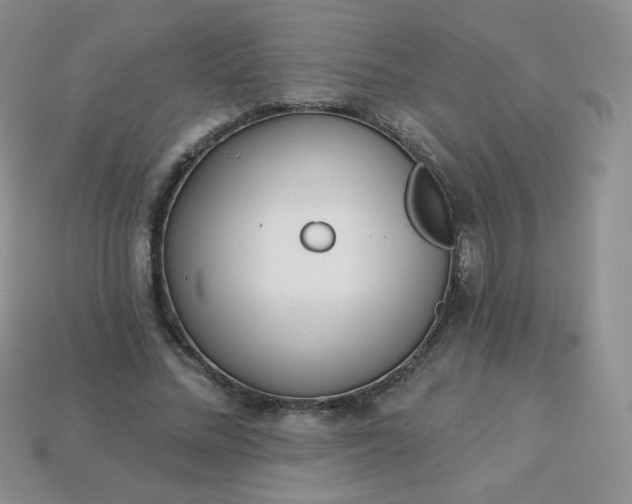 X0000114160684200910221609