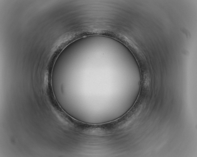 X0000114160685200910221609