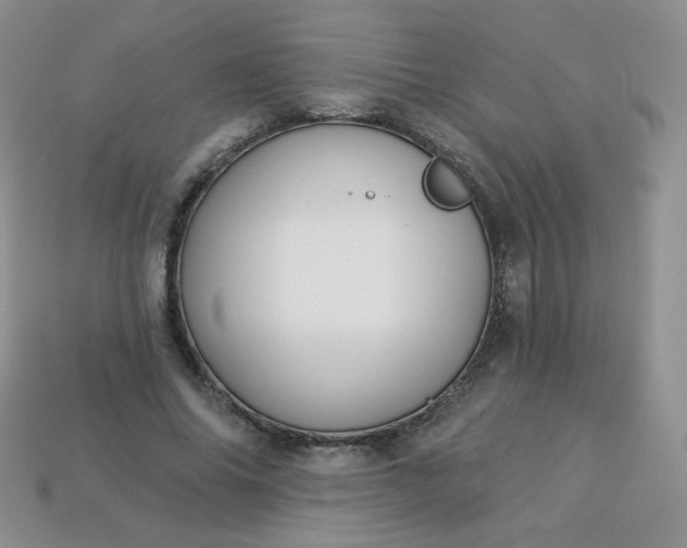 X0000114160686200910221608