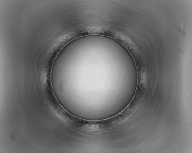 X0000114160687200910221608