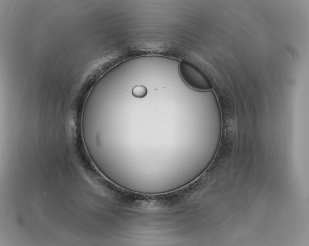 X0000114160688200910221608