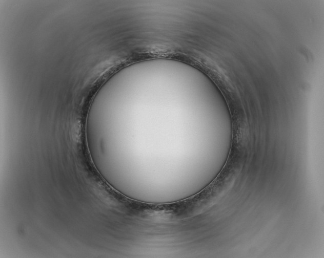 X0000114160689200910221608