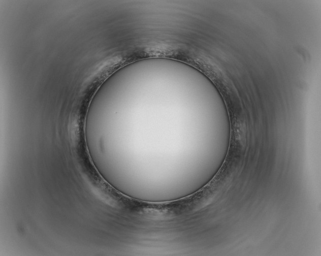 X0000114160690200910221608