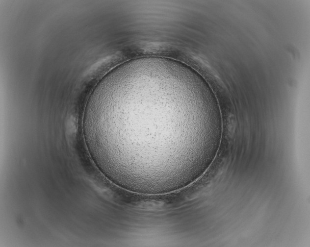 X0000114160691200910221608