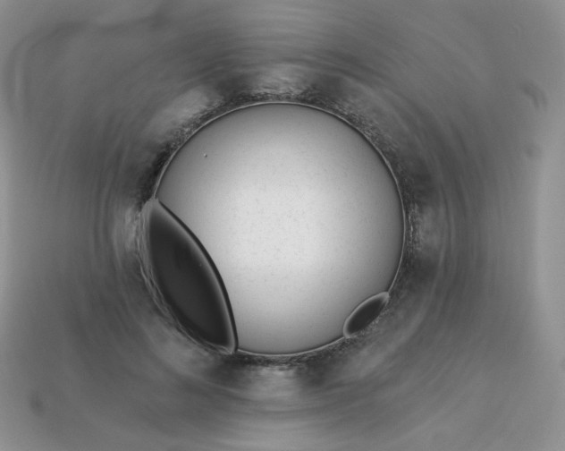 X0000114160692200910221608