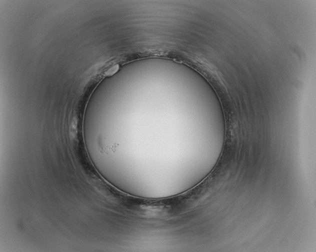 X0000114160693200910221608