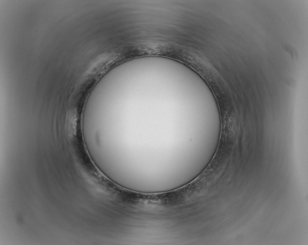 X0000114160694200910221608