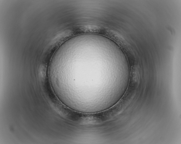 X0000114160695200910221608