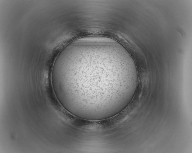 X0000114160696200910221608