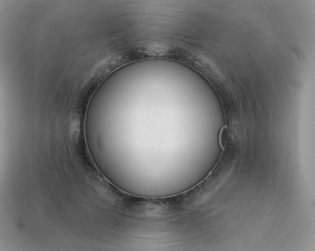 X0000114160697200910221608