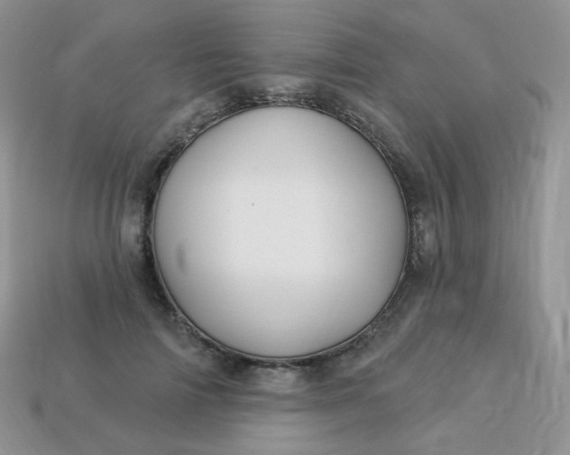 X0000114160698200910221608