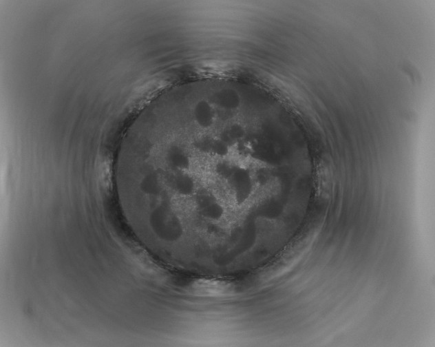 X0000114160699200910221608