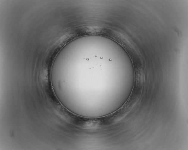 X0000114160700200910221608