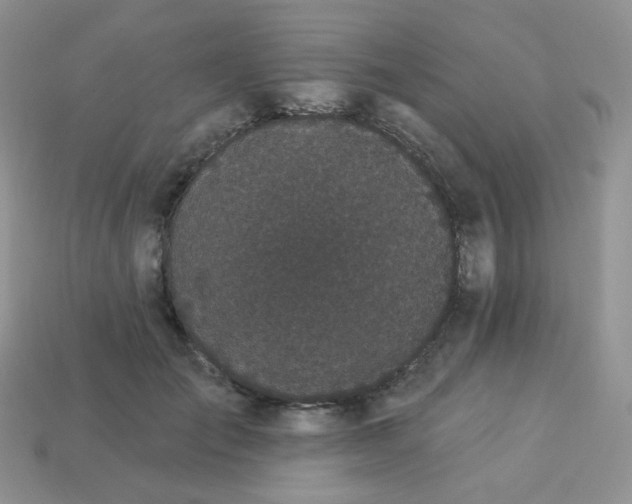 X0000114160701200910221608