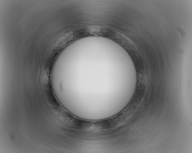 X0000114160702200910221608