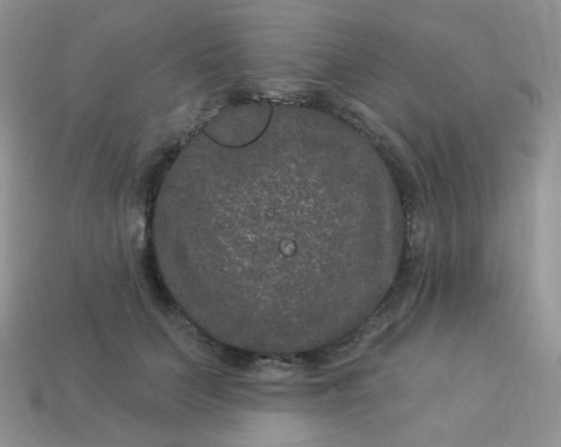 X0000114160703200910221608