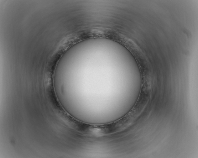 X0000114160706200910221608