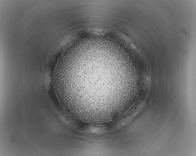 X0000114160707200910221608