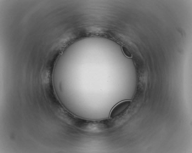 X0000114160708200910221608