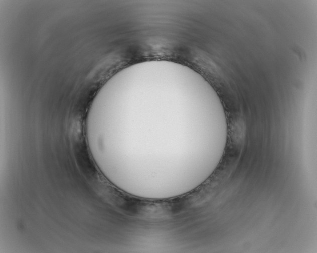 X0000114160709200910221608