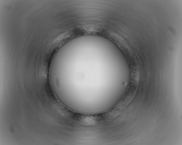 X0000114160710200910221608