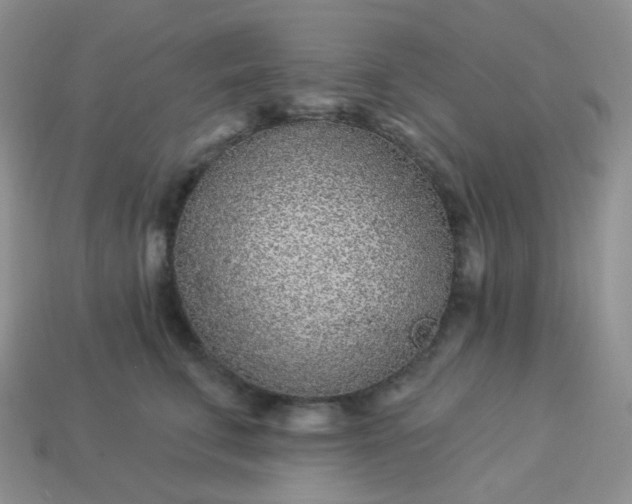 X0000114160711200910221608