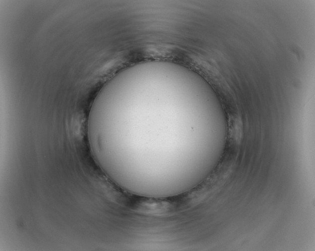 X0000114160712200910221608