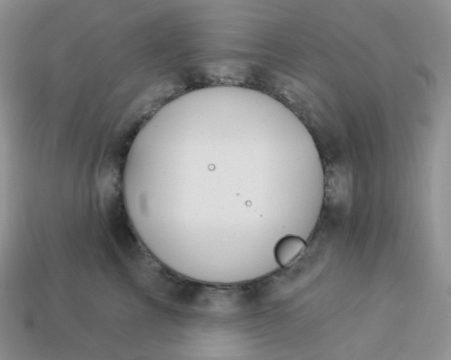 X0000114160713200910221608