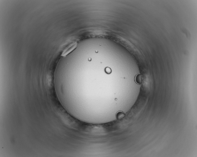 X0000114160715200910221608