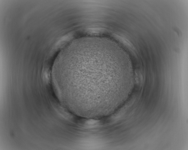 X0000114160718200910221608