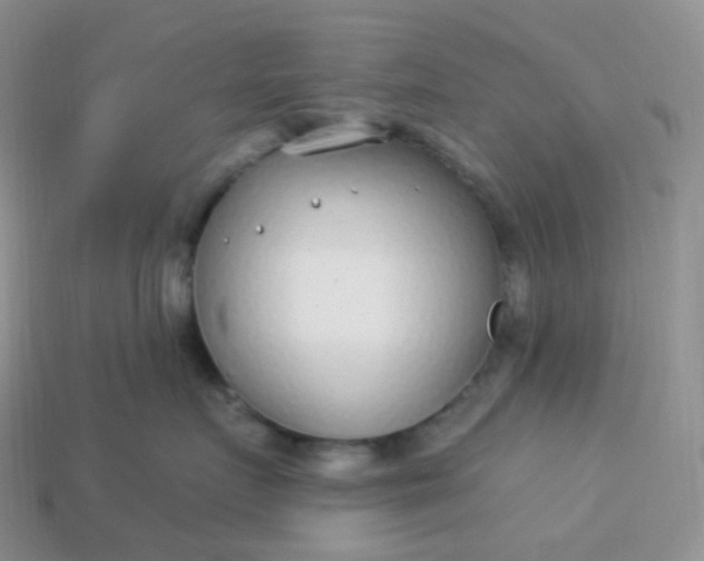 X0000114160719200910221608