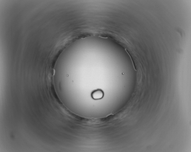 X0000114160720200910221608