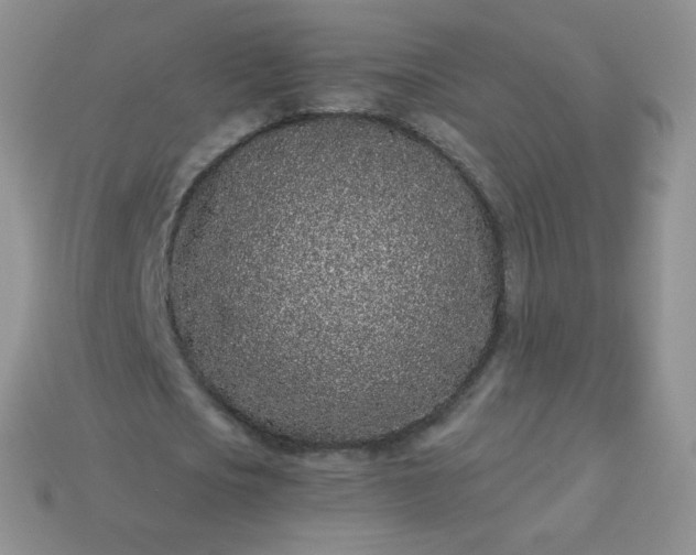 X0000114160721200910221607