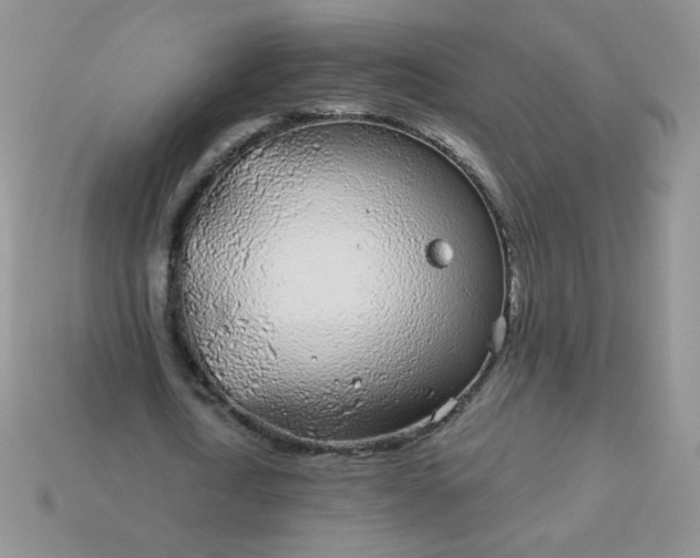 X0000114160722200910221607