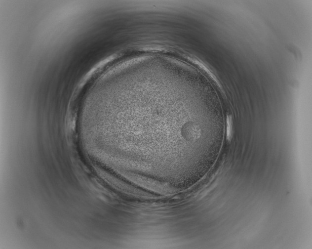 X0000114160723200910221607