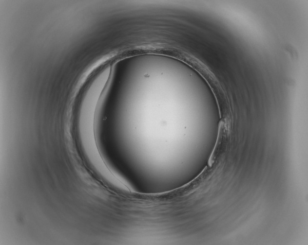 X0000114160724200910221607