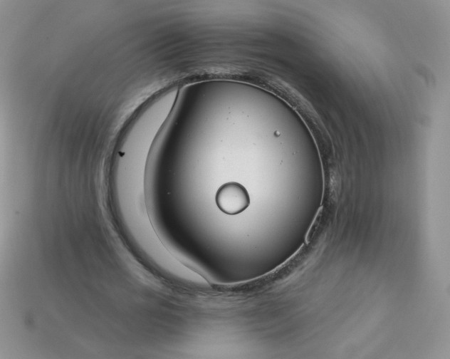 X0000114160725200910221607