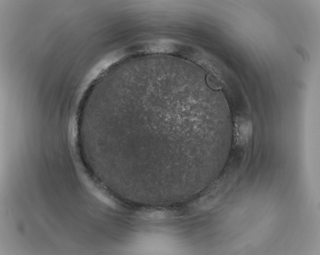 X0000114160726200910221607