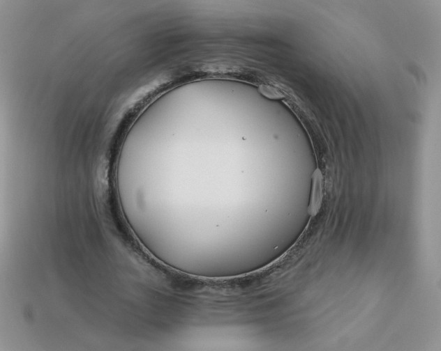 X0000114160727200910221607