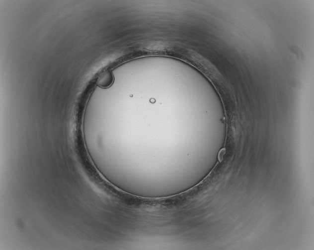 X0000114160728200910221607