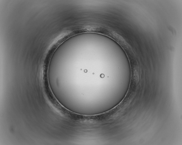 X0000114160730200910221607