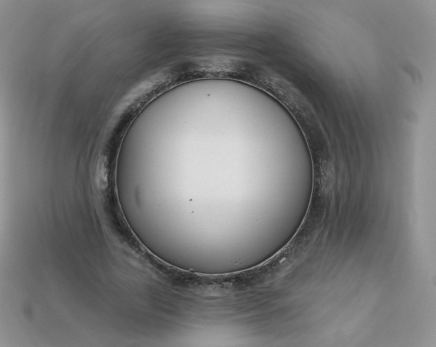 X0000114160731200910221607