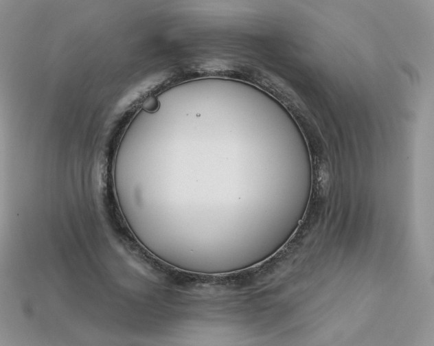 X0000114160732200910221607