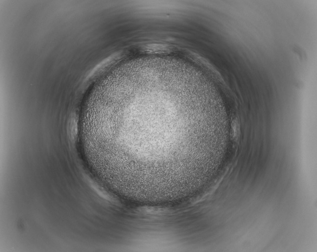 X0000114160733200910221607