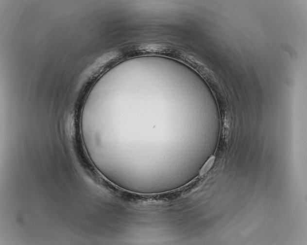 X0000114160734200910221607