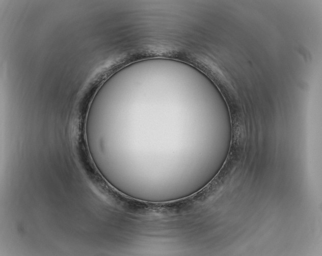 X0000114160736200910221607